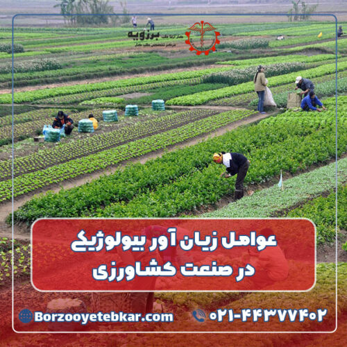 عوامل زیان آور بیولوژیکی در صنعت کشاورزی عوامل زیان آور بیولوژیکی در صنعت کشاورزی