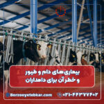 بیماری های دام و طیور و خطر آن برای دامداران