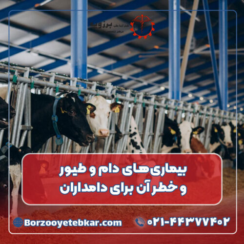 بیماری های دام و طیور و خطر آن برای دامداران